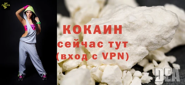 дживик Абинск