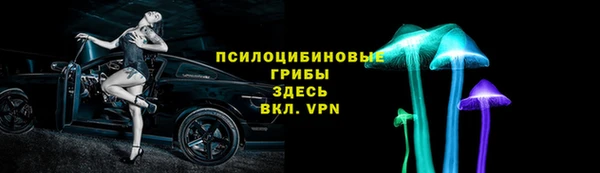 дурь Алзамай
