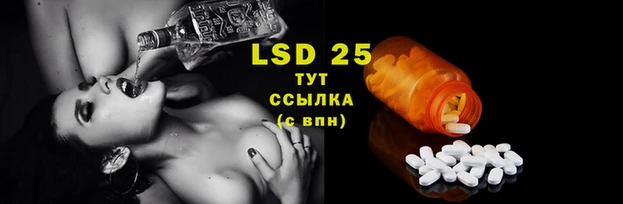 прущие грибы Алексеевка