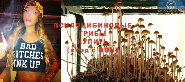 прущие грибы Алексеевка