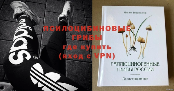 твердый Алексин