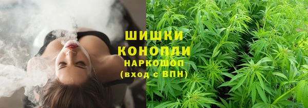 прущие грибы Алексеевка
