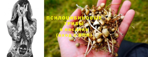 прущие грибы Алексеевка