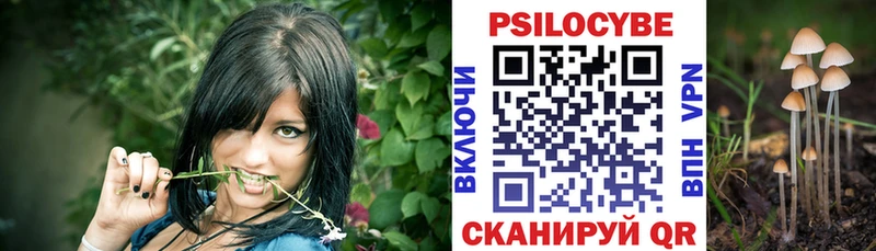 Псилоцибиновые грибы Cubensis купить наркотики цена Касимов