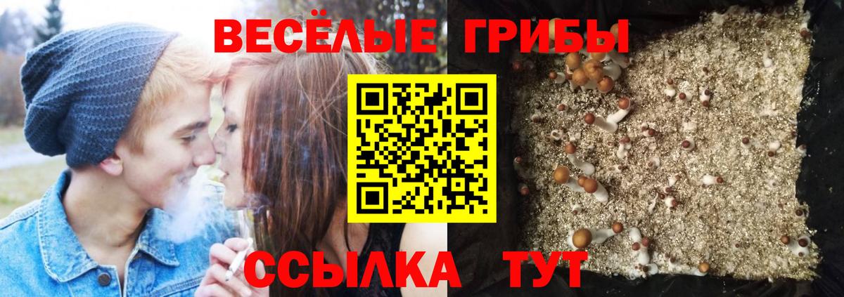 Псилоцибиновые грибы мухоморы Касимов