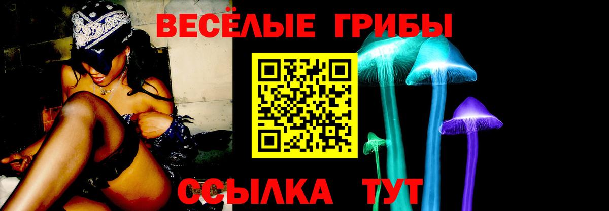 Касимов  Галлюциногенные грибы Cubensis  Вход с VPN  Псилоцибиновые грибы Cubensis 